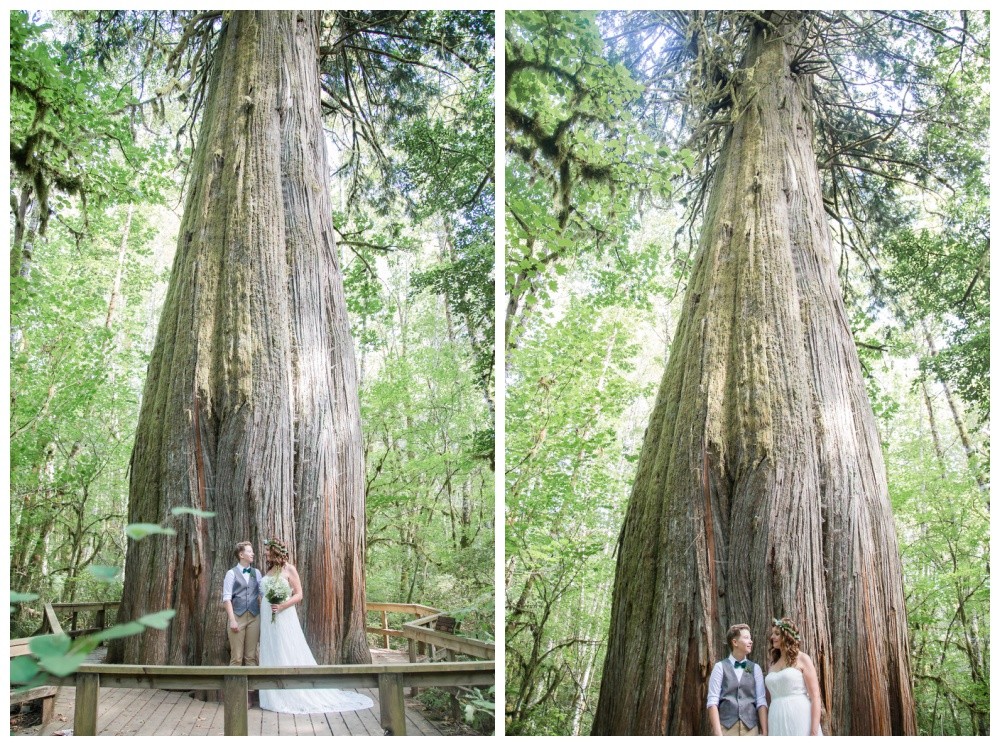 lesbian wedding couple pose for wedding photos in front of a massive old growth tree